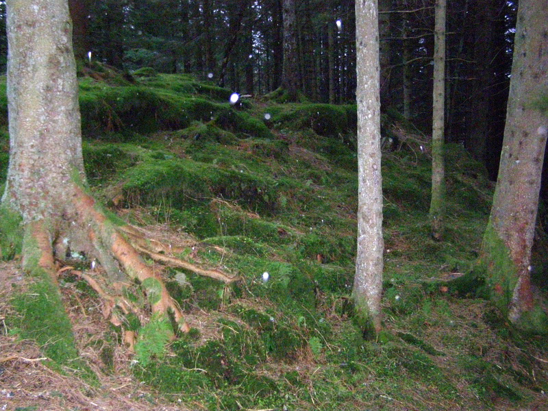 Норвежская новогодняя история...