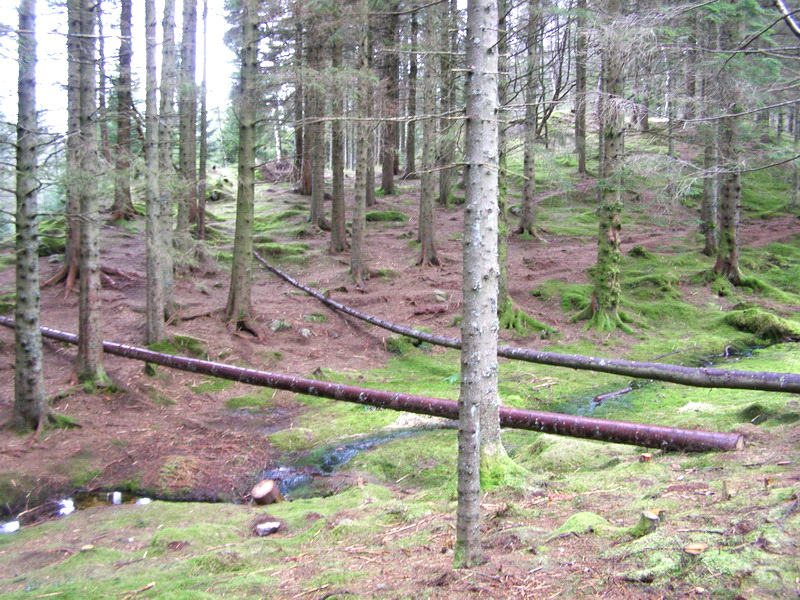 Норвежская новогодняя история...