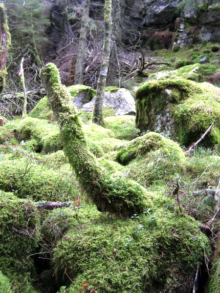 Норвежская новогодняя история...